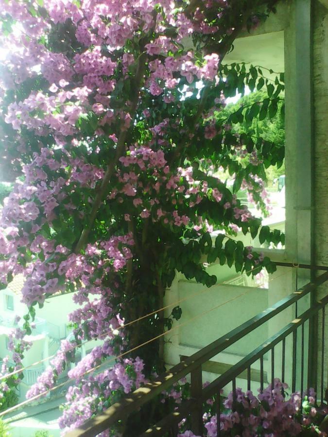 Apartmani Ivona Podgora Exteriér fotografie